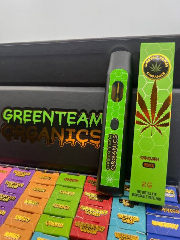 Green Team Disposable For Sale Online